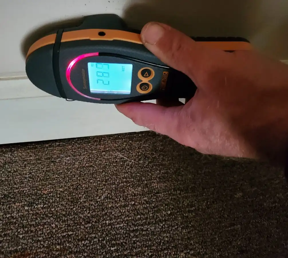Moisture detection at baseboard during Sewage Cleanup & Sanitation in East Lyme